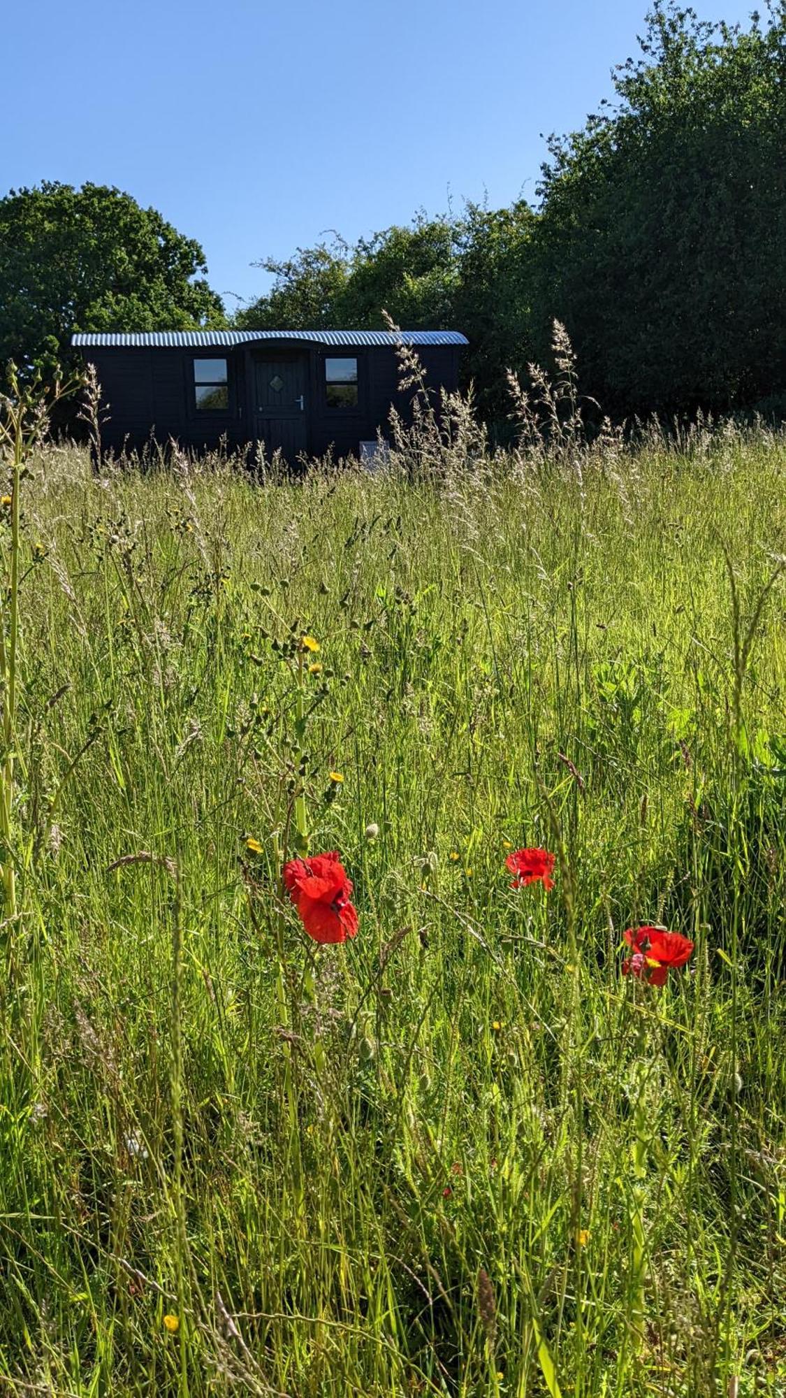Blue Sky Huts Hotel Chediston Exterior photo